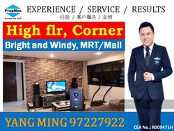 Blk 422 Choa Chu Kang Avenue 4 (Choa Chu Kang), HDB 4 Rooms #106976542